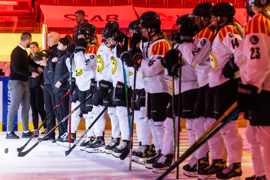 Brynässpelare deppar