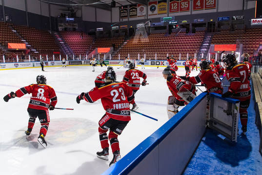 Luleås spelare jublar
