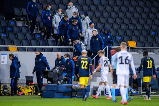 Zlatan Ibrahimovic of Sweden heading down from the stands