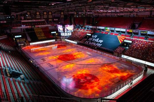 Monitor ERP Arena