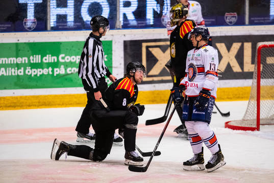 Bläddra bland fler bilder av Ishockey, SHL, Brynäs - Växjö