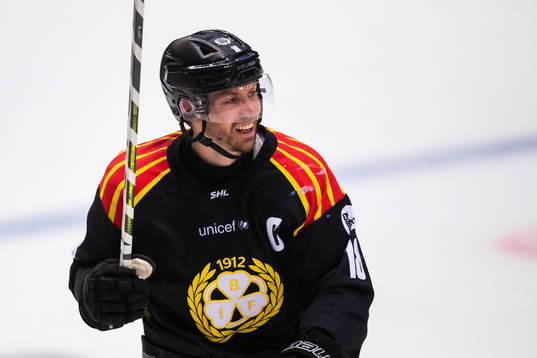 Brynäs Anton Rödin