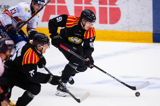 Brynäs Tomi Sallinen