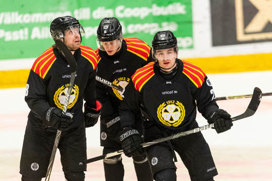 Brynäs Adam Pettersson