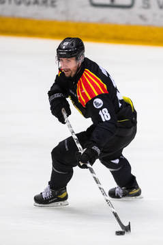 Brynäs Anton Rödin