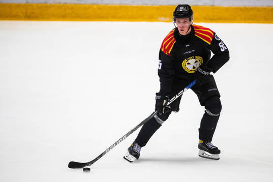 Brynäs Noel Gunler