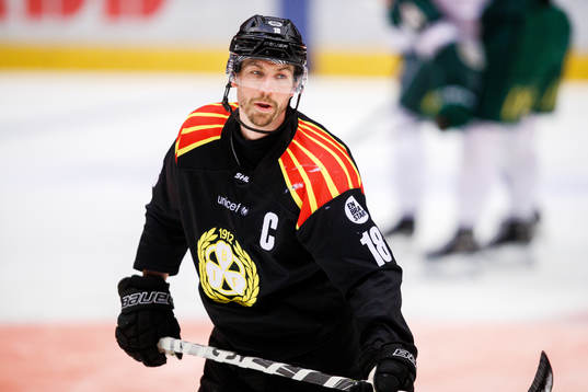 Brynäs Anton Rödin