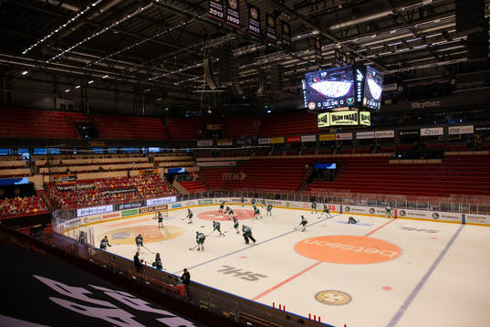 Monitor ERP Arena