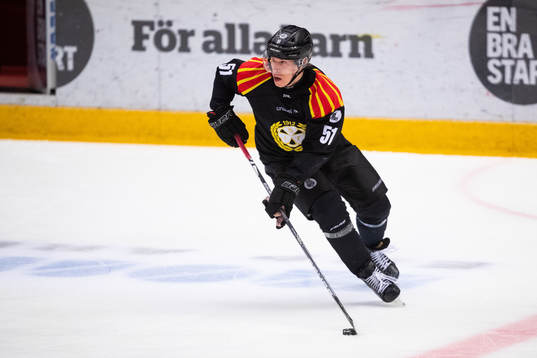Brynäs Tomi Sallinen