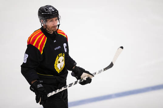 Brynäs Anton Rödin