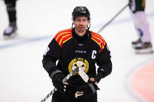Brynäs Anton Rödin
