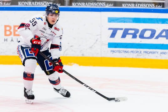 Linköpings Max Lindroth deppar