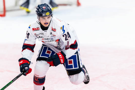 Linköpings Elliot Ekmark deppar