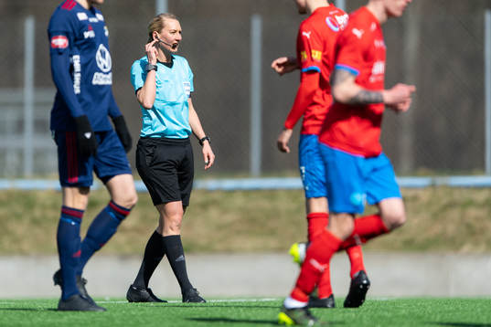 Domare Tess Olofsson