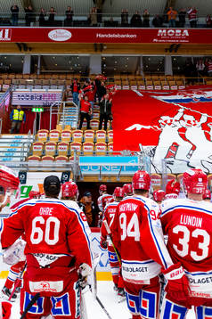 under semifinal ett i slutspelet i Hockeyallsvenskan mellan