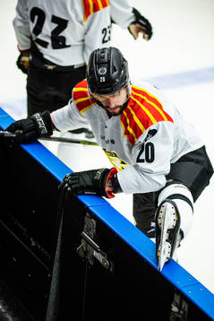 Brynäs Oula Palve