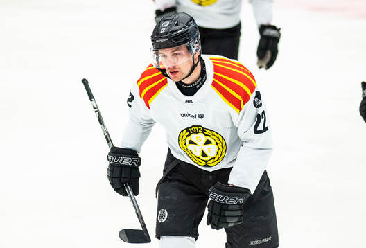 Brynäs Adam Pettersson jublar