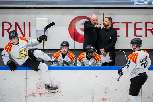 Brynäs tränare Peter Andersson