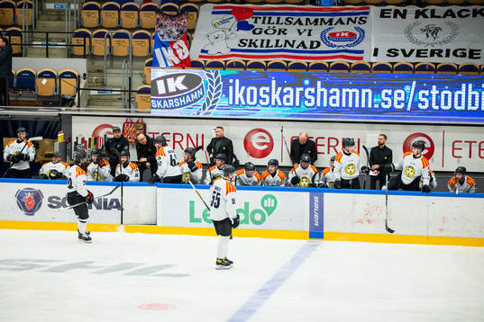 Brynäs spelare deppar