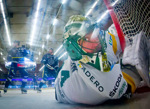 Björklövens målvakt Kevin Poulin