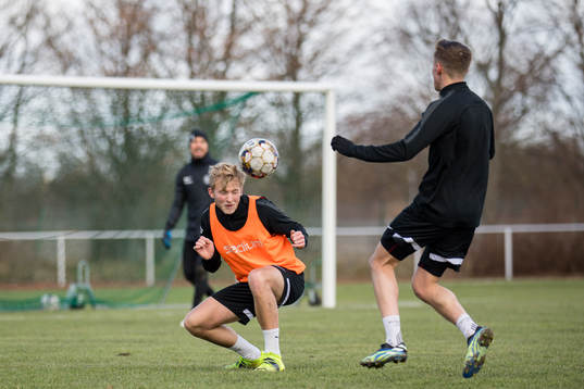 Johan Rapp