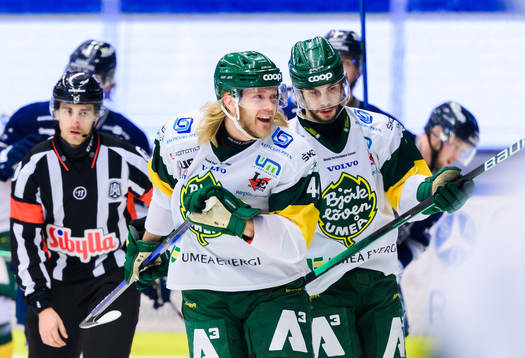 Björklövens Olle Liss