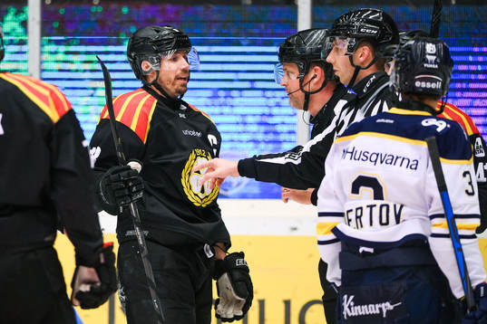 Brynäs Anton Rödin reagerar mot domslut
