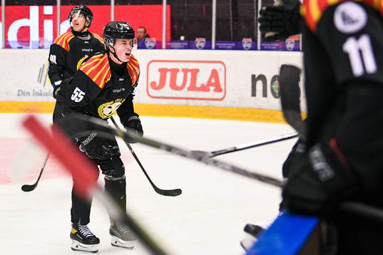 Brynäs Noel Gunler har ont