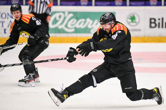 Brynäs Anton Rödin