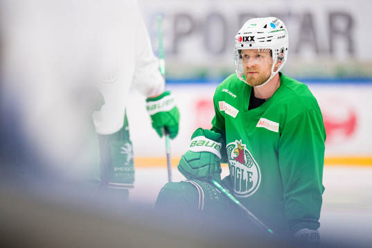 Ted Brithén