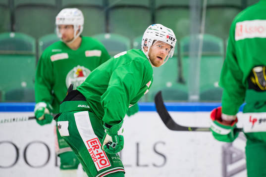 Ted Brithén