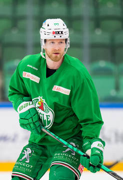 Ted Brithén
