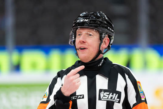 Domare Mikael Holm