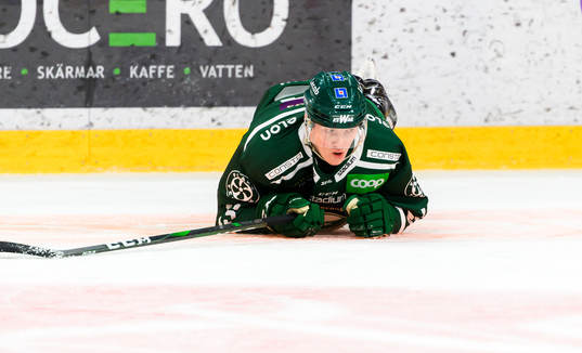 Färjestads Gustav Rydahl