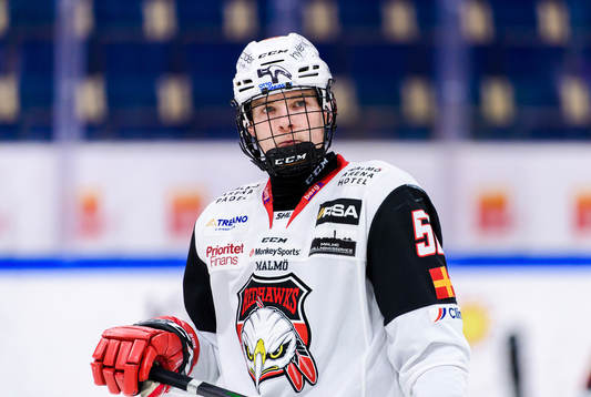 Malmö Redhawks Anton Olsson deppar
