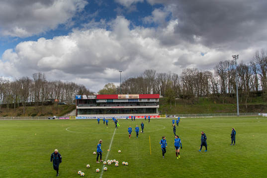 General view of the Norwegian national football team