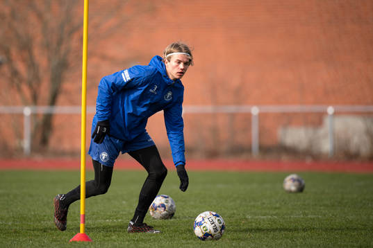 Niklas Vesterlund