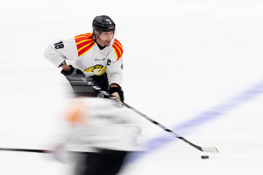 Brynäs Anton Rödin
