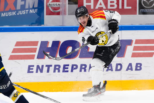 Brynäs Shane Harper