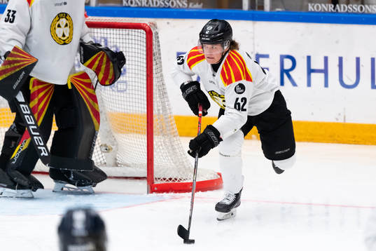 Brynäs Tom Hedberg