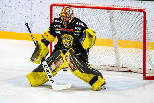Vimmerbys målvakt Tomas Rydén