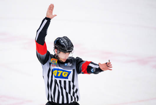 Domare Oscar Niklasson