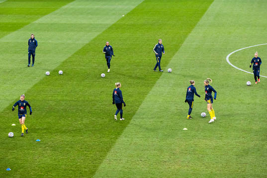 Players of Sweden