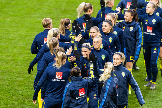 Players of Sweden
