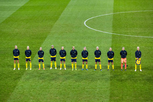 Players of Sweden