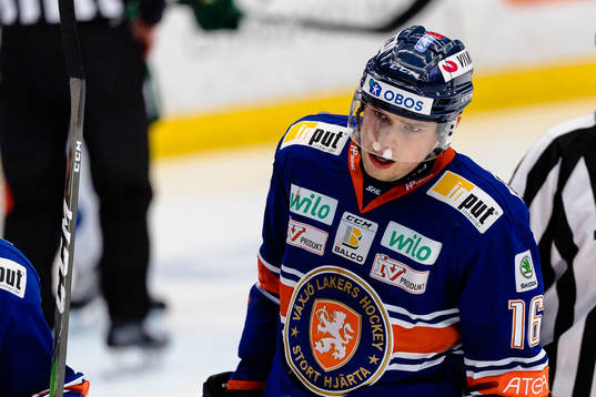 Växjös Brendan Gaunce