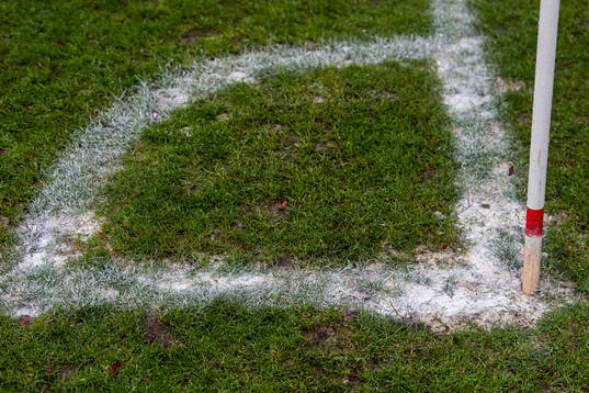 under fotbollsmatchen i Allsvenskan mellan Halmstad och