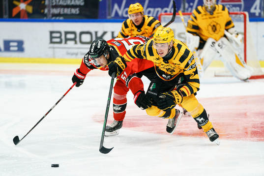 Skellefteås Adam Wilsby och Luleås Filip Hållander