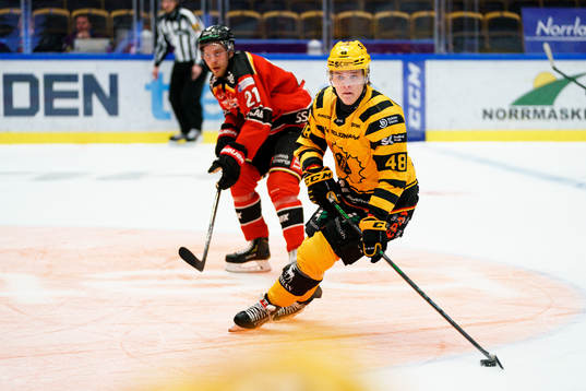 Luleås Juhani Tyrväinen och Skellefteås Jonatan Berggren