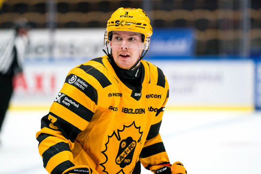 Skellefteås Niclas Burström